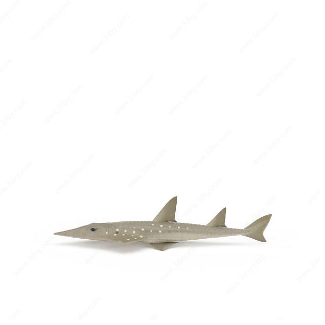 尖嘴鱼3D模型