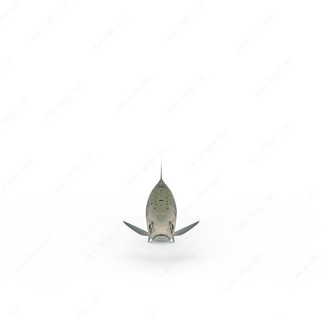 火箭鱼3D模型