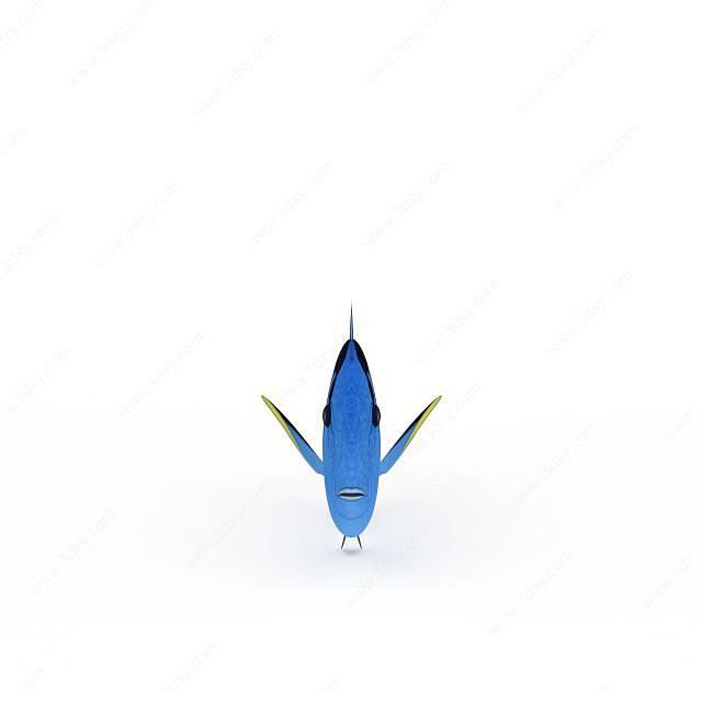 蓝色七彩鱼3D模型