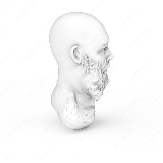 胡子男人雕塑3D模型
