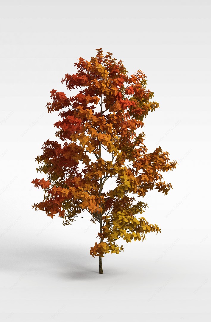 银杏树3D模型