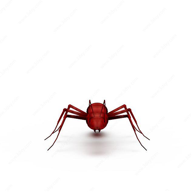 红蜘蛛3D模型