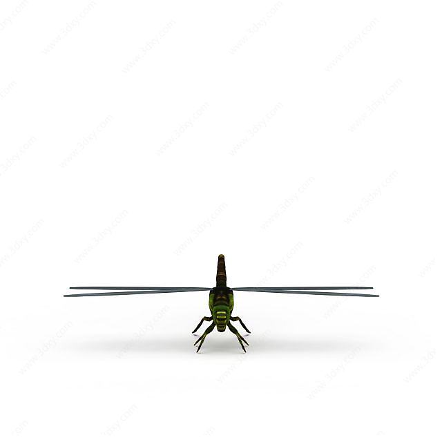 绿蜻蜓3D模型