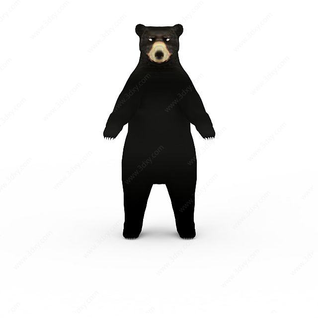黑熊3D模型