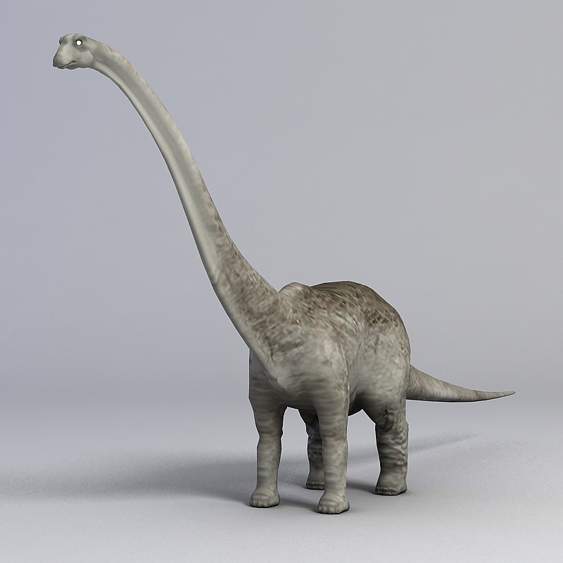 食草恐龙3D模型