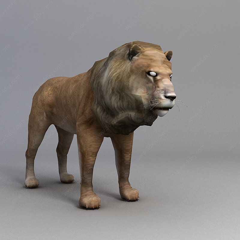 公狮子3D模型