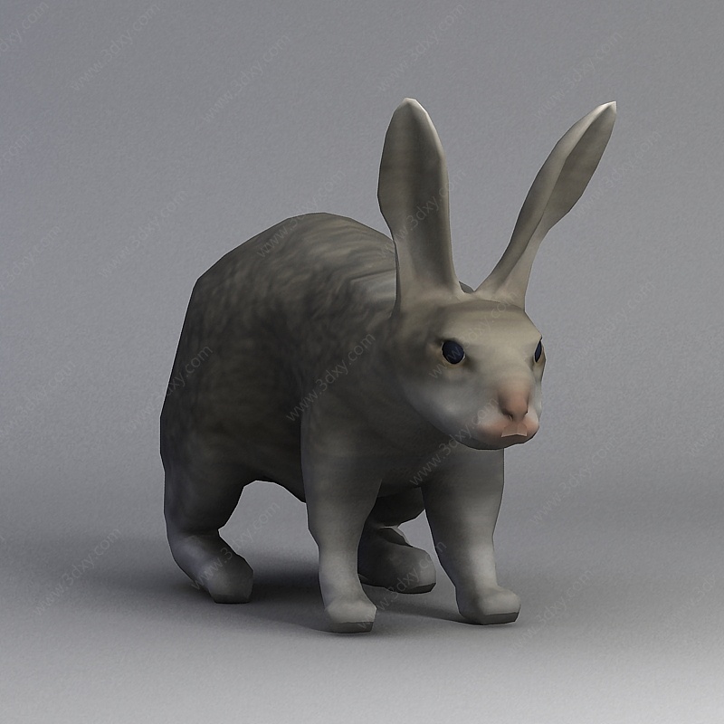 灰色兔子3D模型