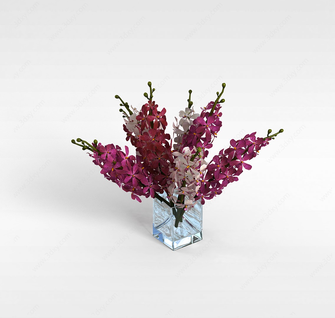 室内观赏花3D模型