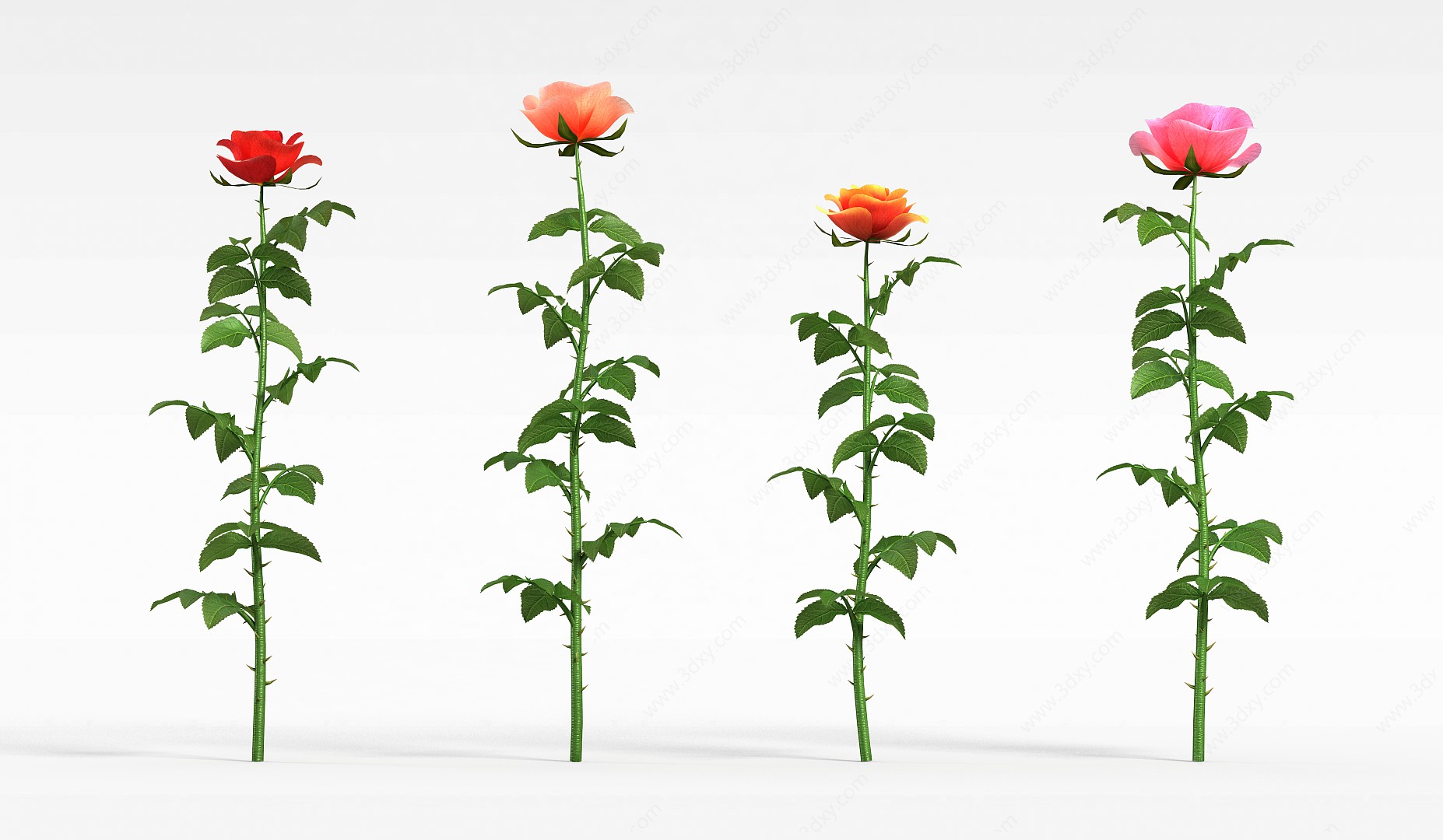 室外植物玫瑰3D模型