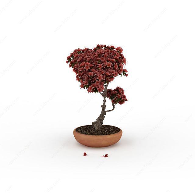 红叶盆栽3D模型