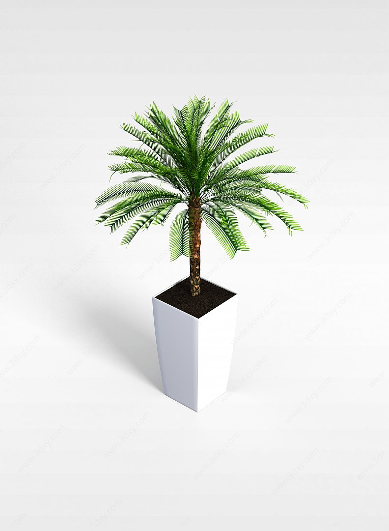 植物盆景3D模型