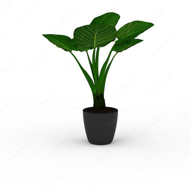 小型盆栽植物3D模型