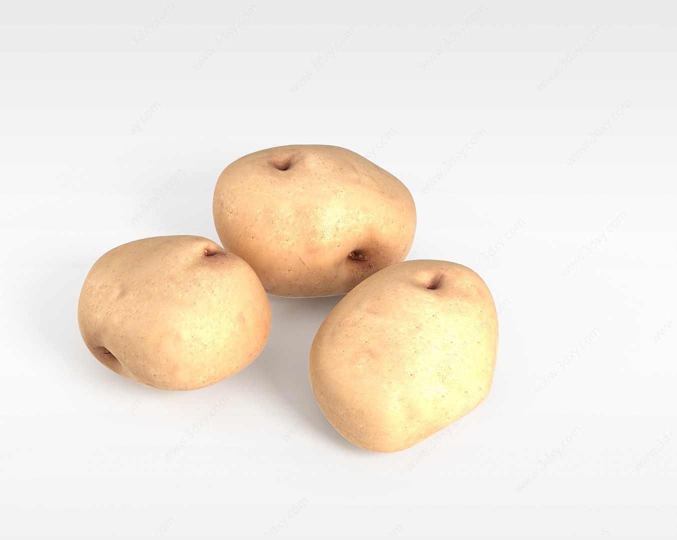 马铃薯3D模型