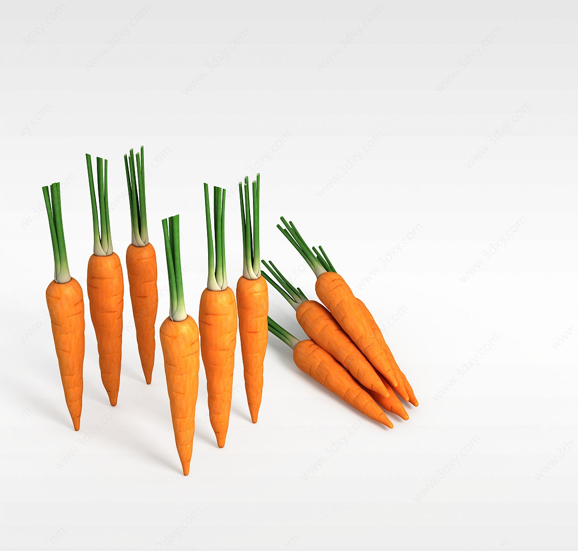 胡萝卜3D模型