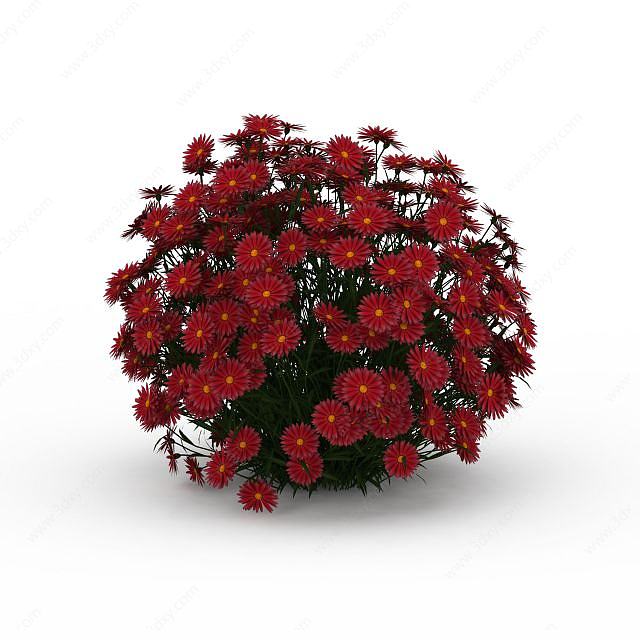 红色花朵3D模型