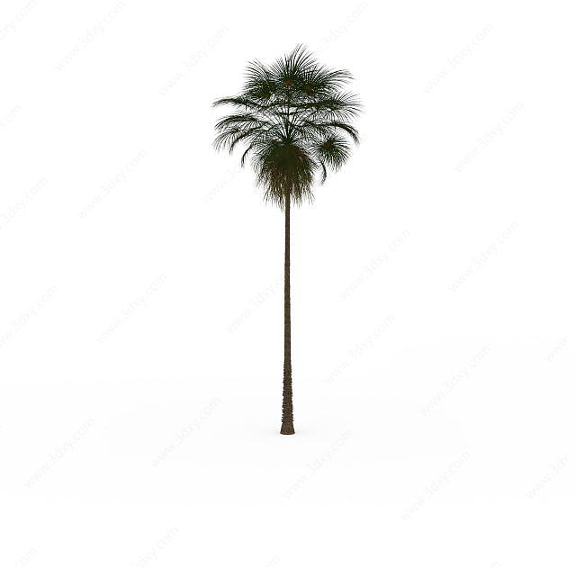 绿色椰子树3D模型