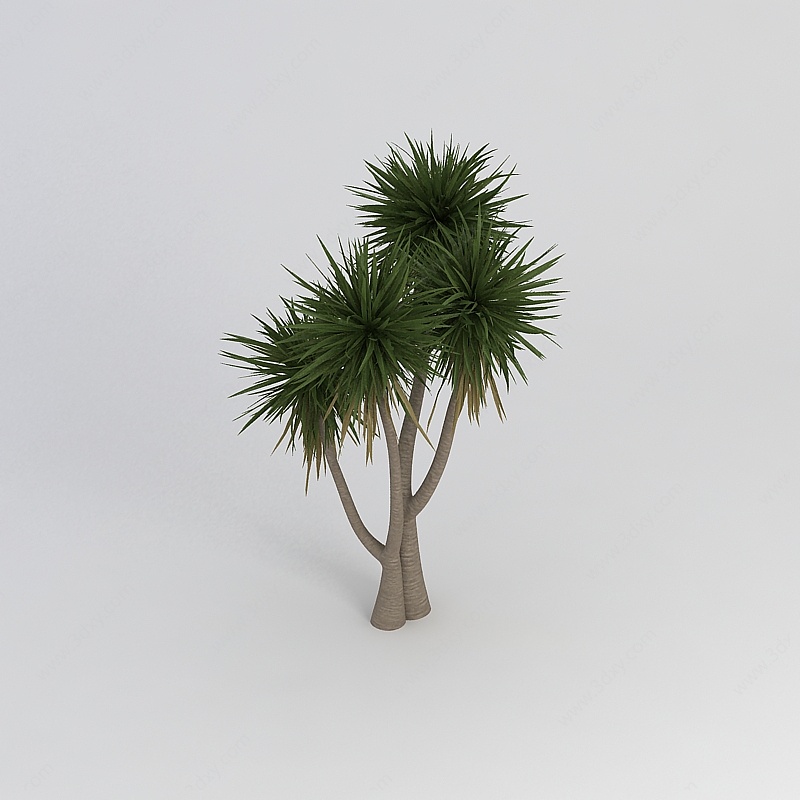 绿色尖叶植物3D模型