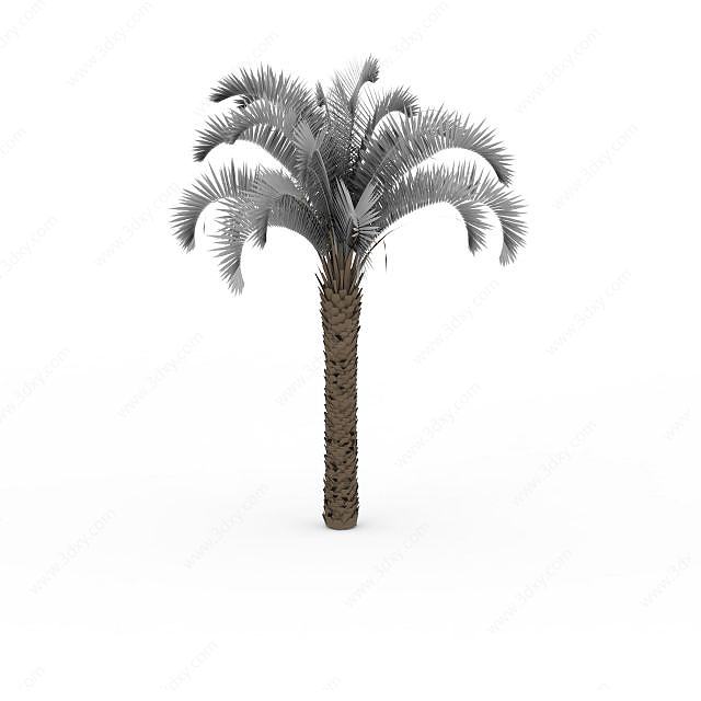 景观椰子树3D模型