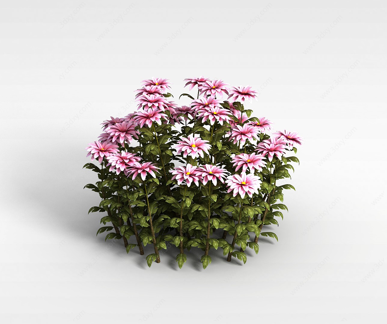 粉色野花3D模型