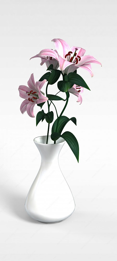 室内观赏植物3D模型
