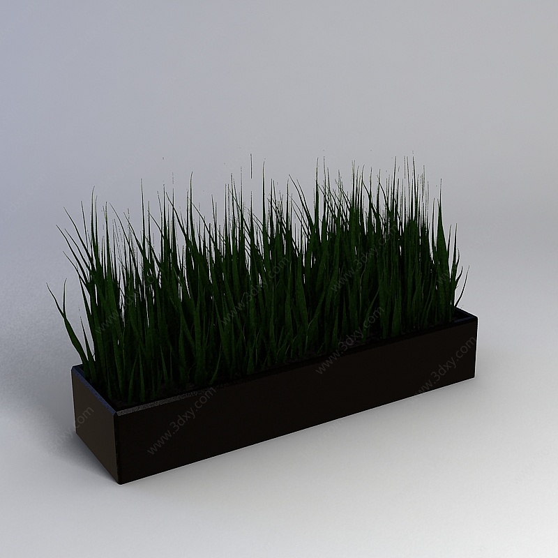 绿色长叶盆栽3D模型
