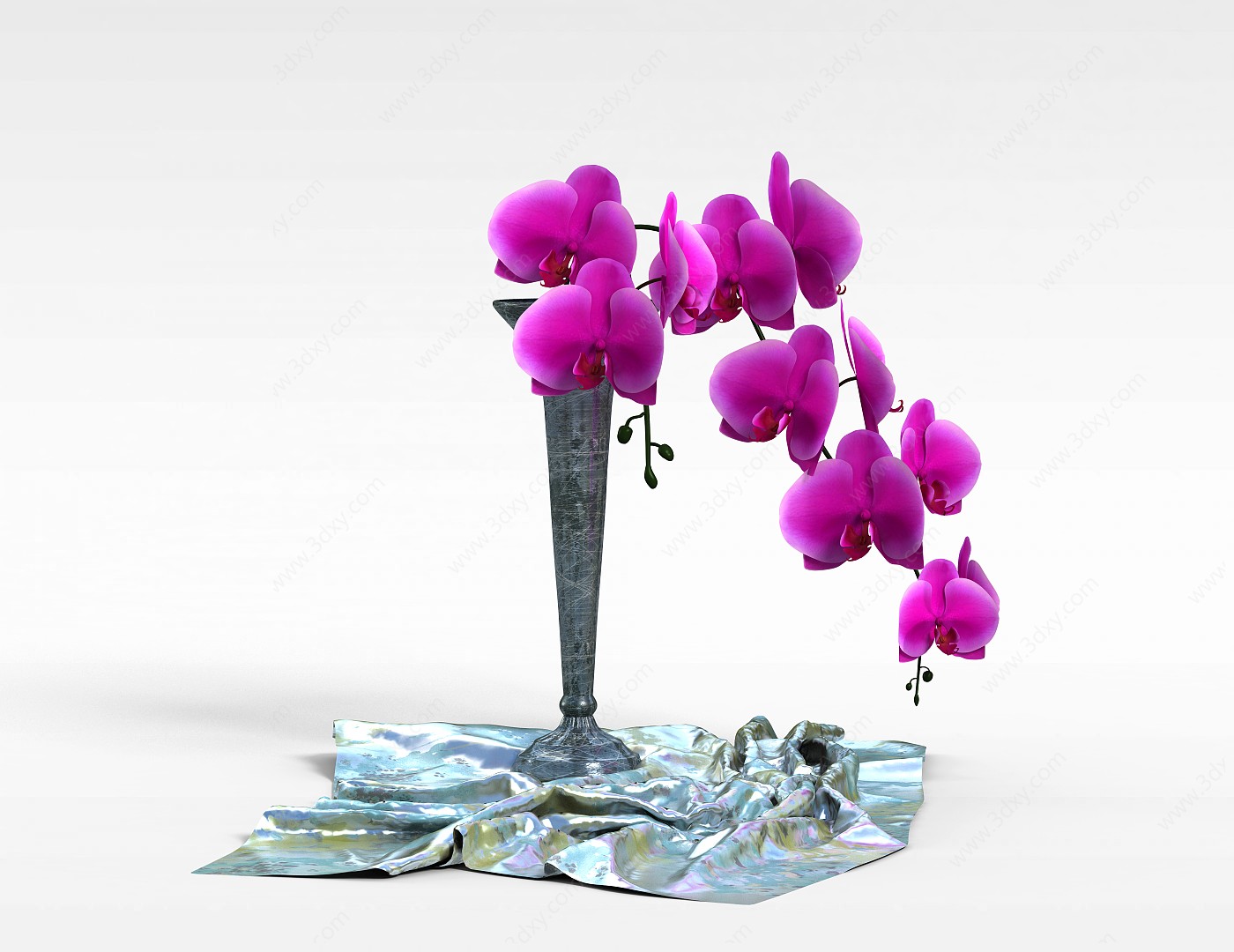 蝴蝶兰盆景3D模型