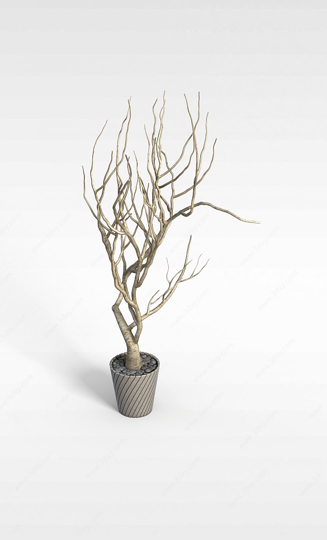 室内观赏植物3D模型