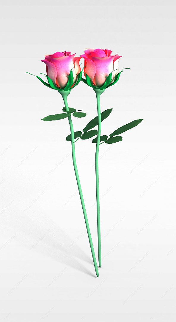 粉色玫瑰花3D模型