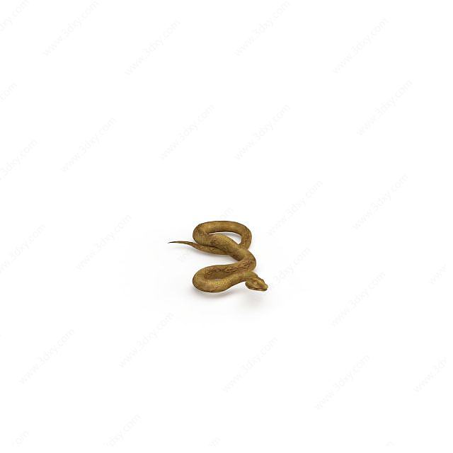 野生无毒蛇3D模型