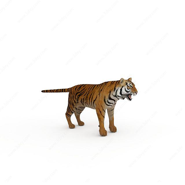 野生老虎3D模型