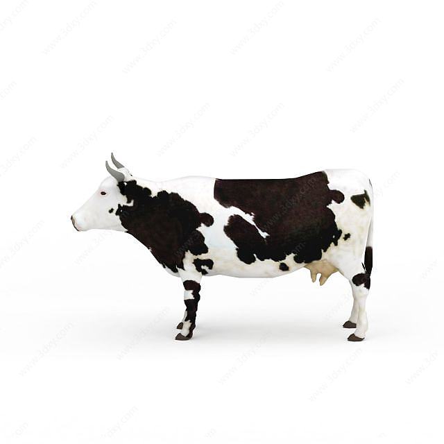 荷兰牛3D模型