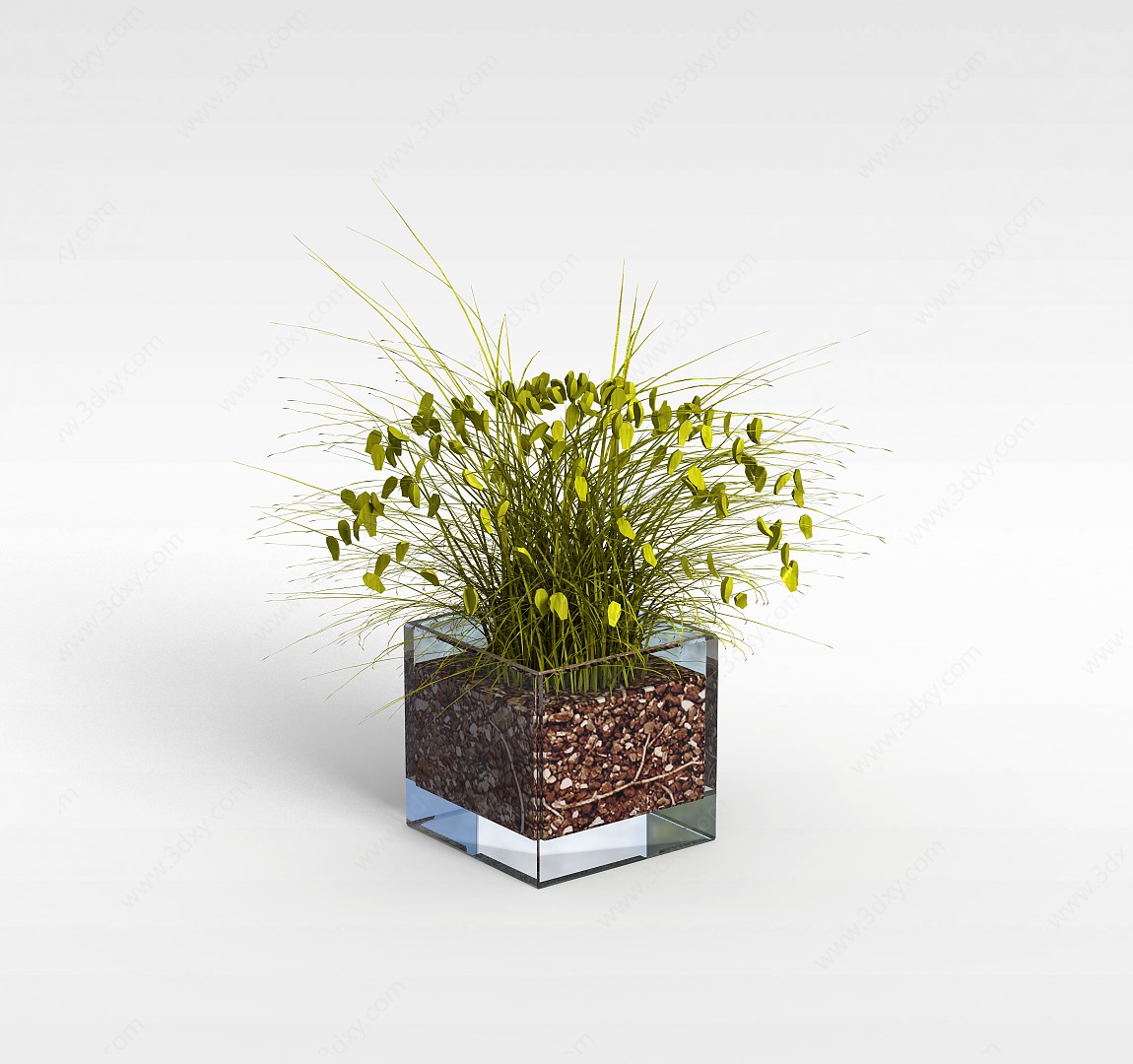 土培绿植3D模型