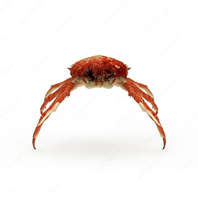 海蟹3D模型