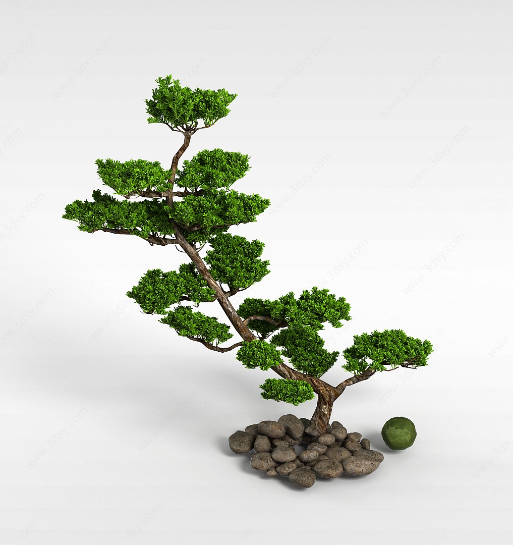 公园松树3D模型