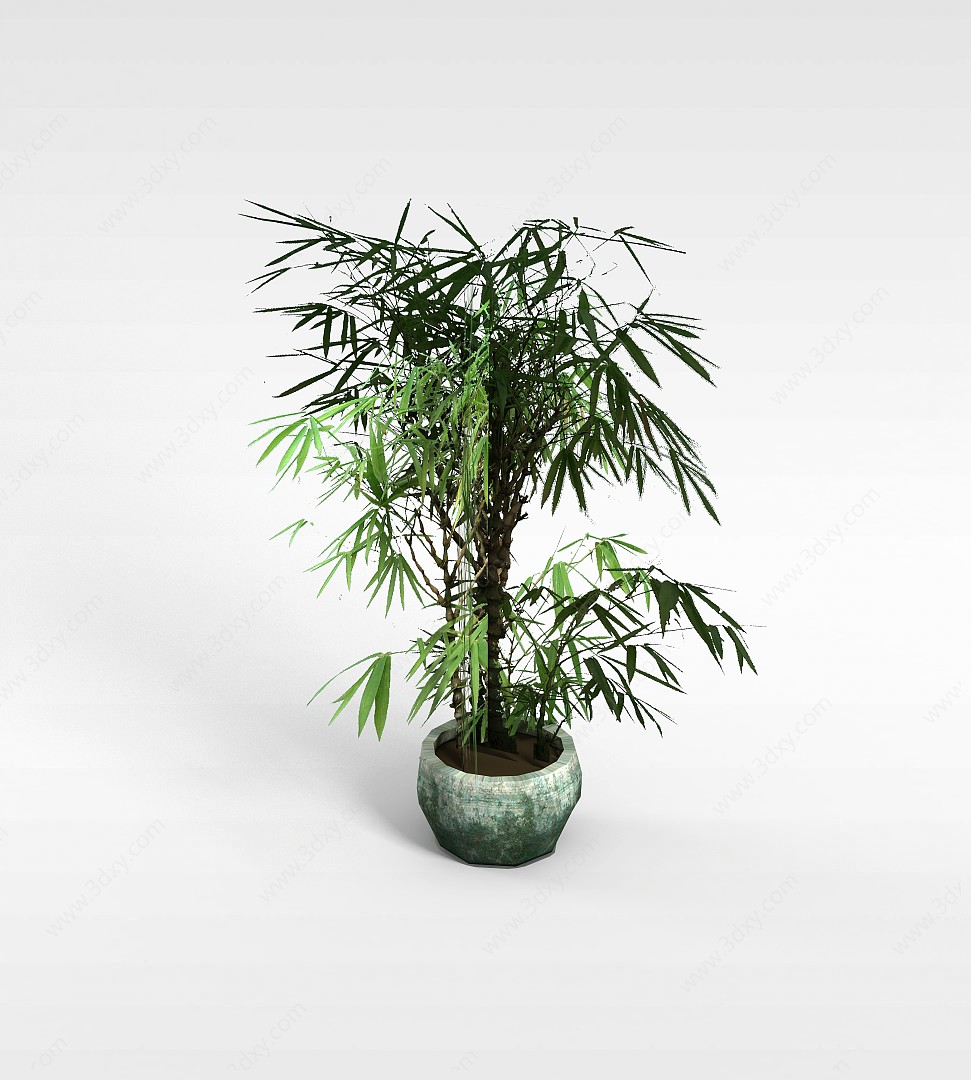盆栽竹3D模型