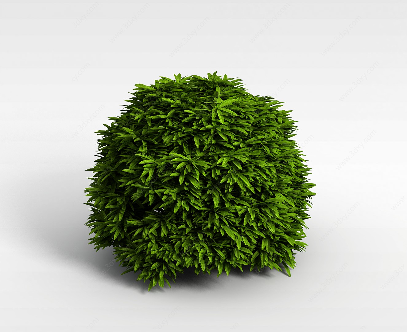 低矮灌木3D模型