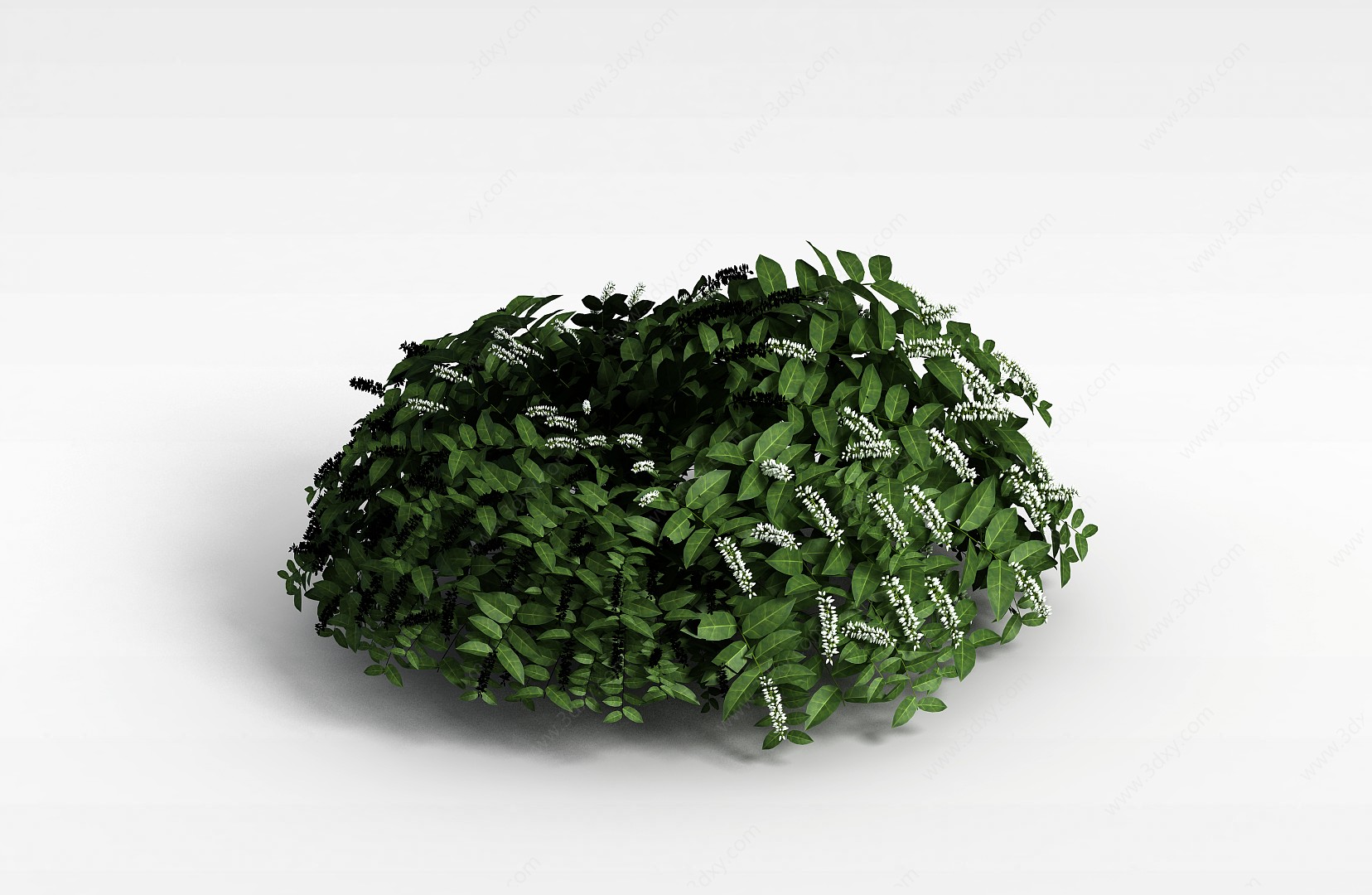 室外灌木3D模型