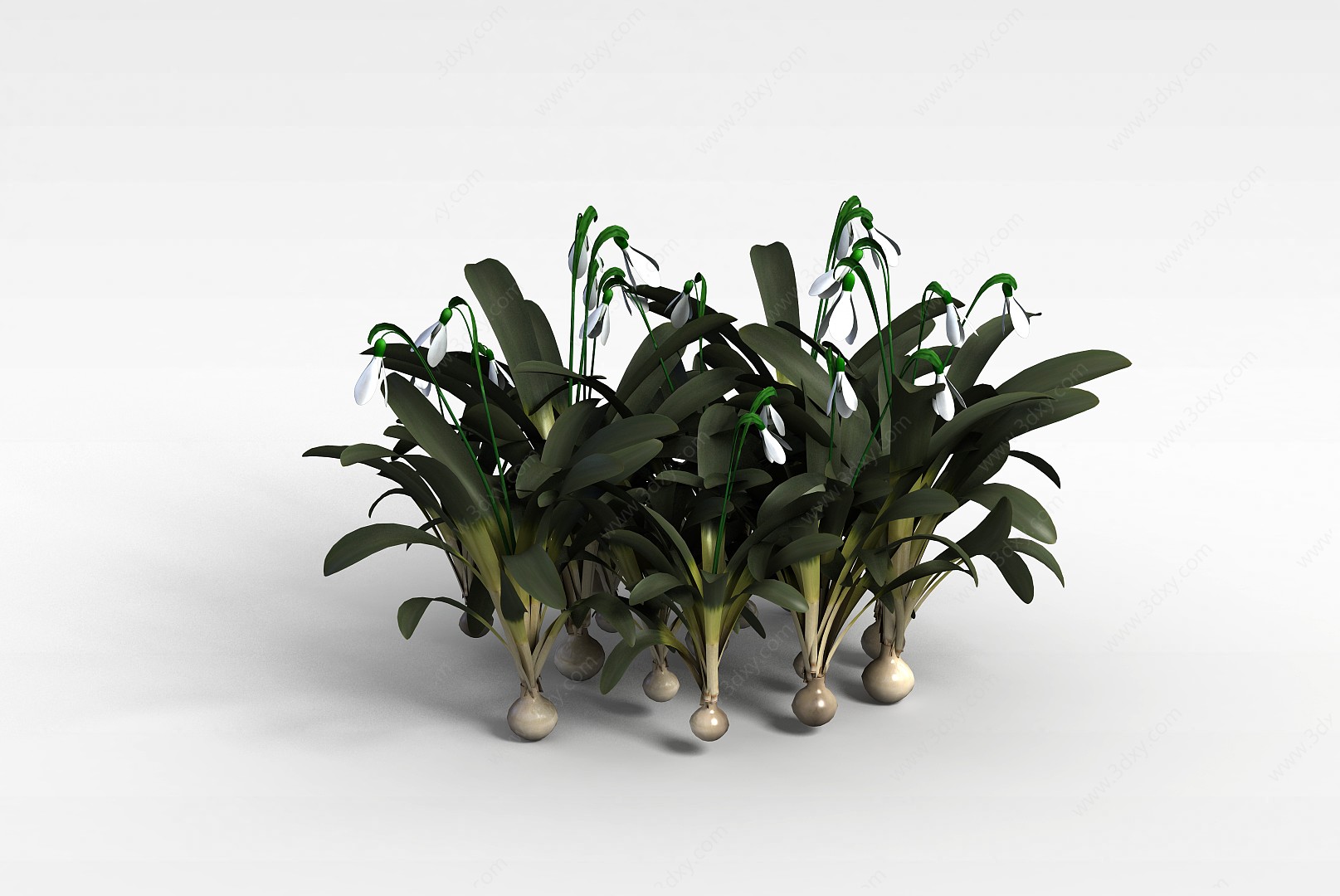 开花灌木3D模型