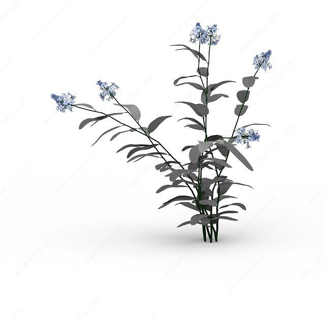 蓝色花簇3D模型