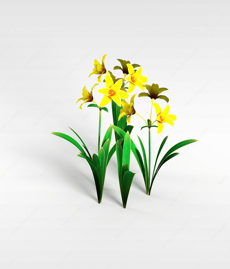 黄色兰花3D模型