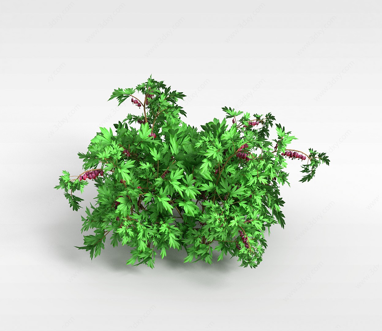 开花灌木3D模型