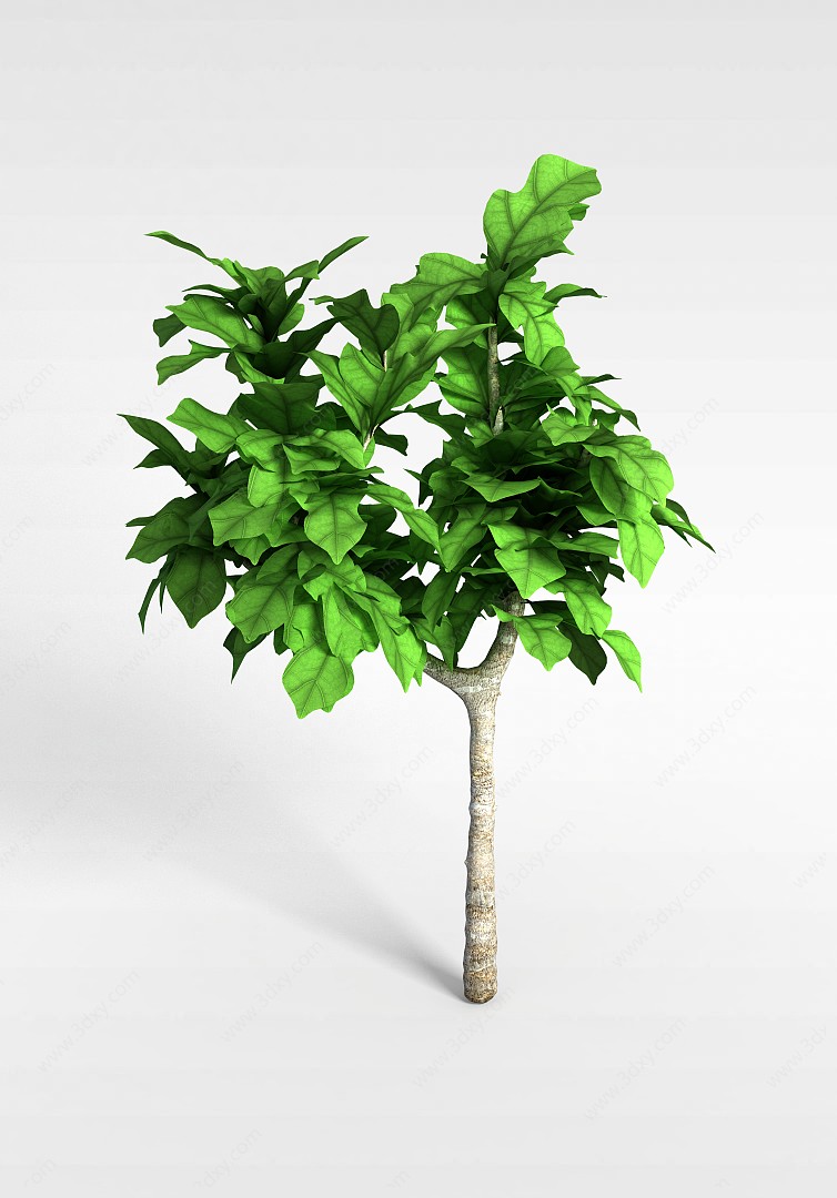 景观绿植3D模型
