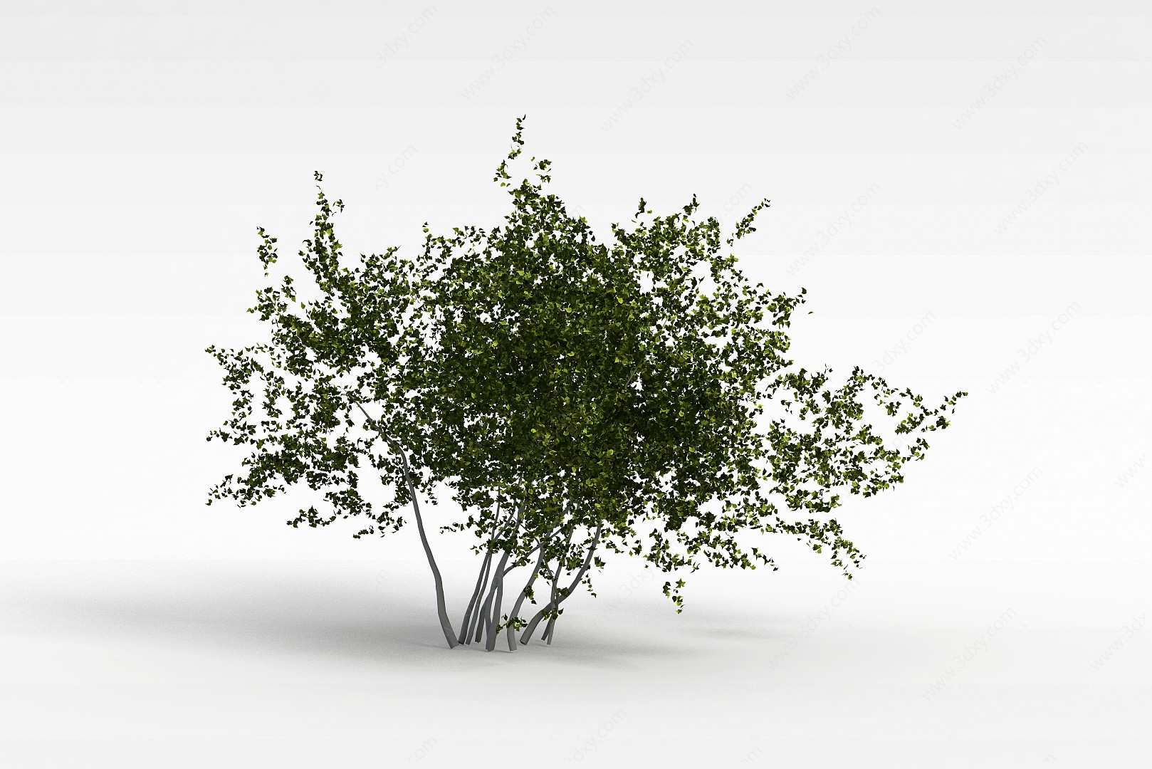园林绿化植物3D模型