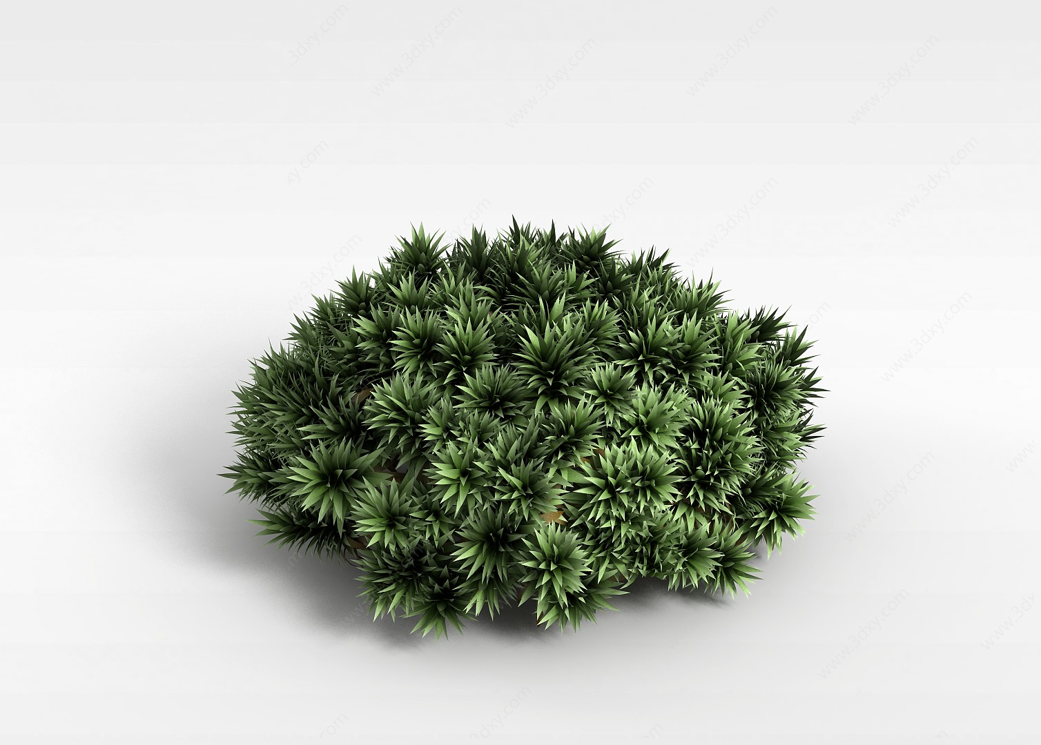 观赏绿植3D模型