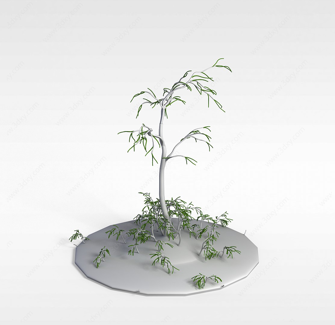 稀有树种3D模型