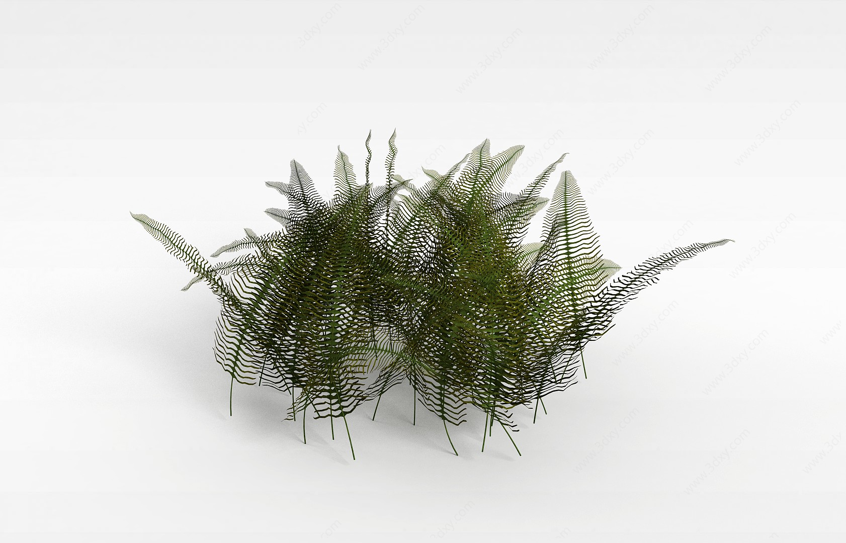 热带灌木3D模型