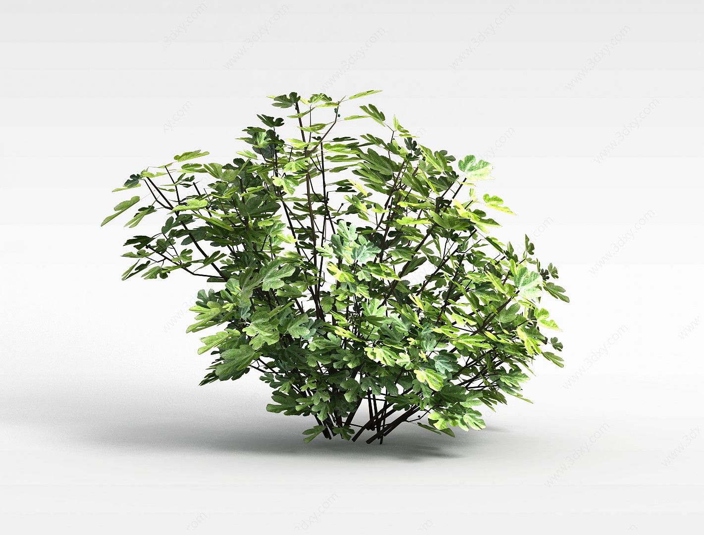 矮灌木丛3D模型