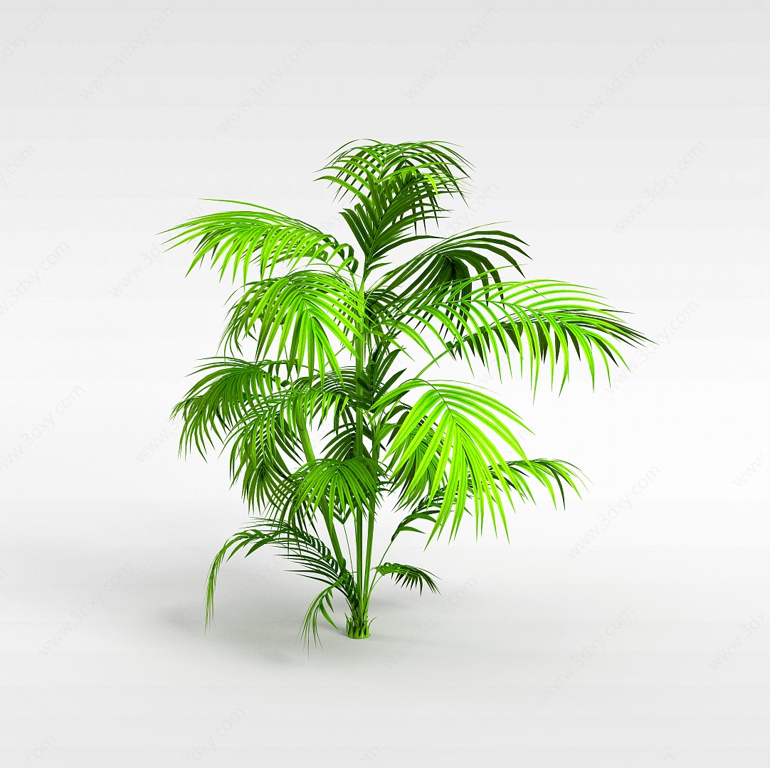 热带灌木3D模型