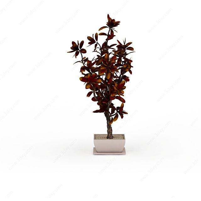盆摘植物3D模型