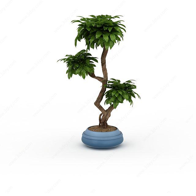 异形树盆景3D模型